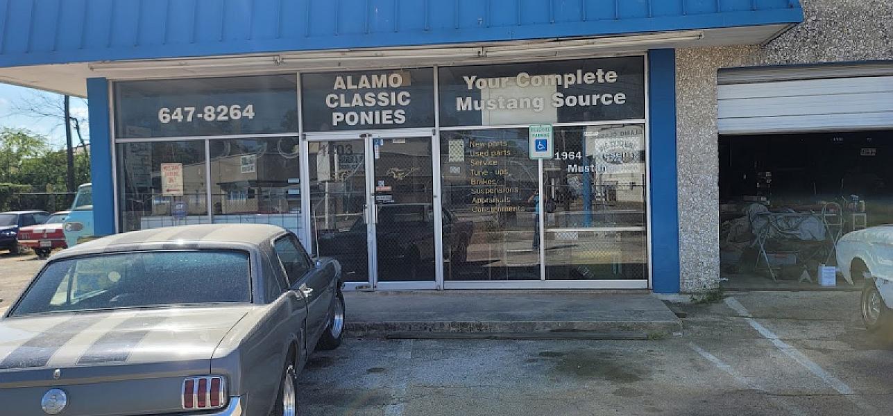 Alamo Classic Ponies