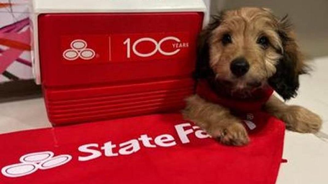 Ray Rogers - State Farm Insurance Agent