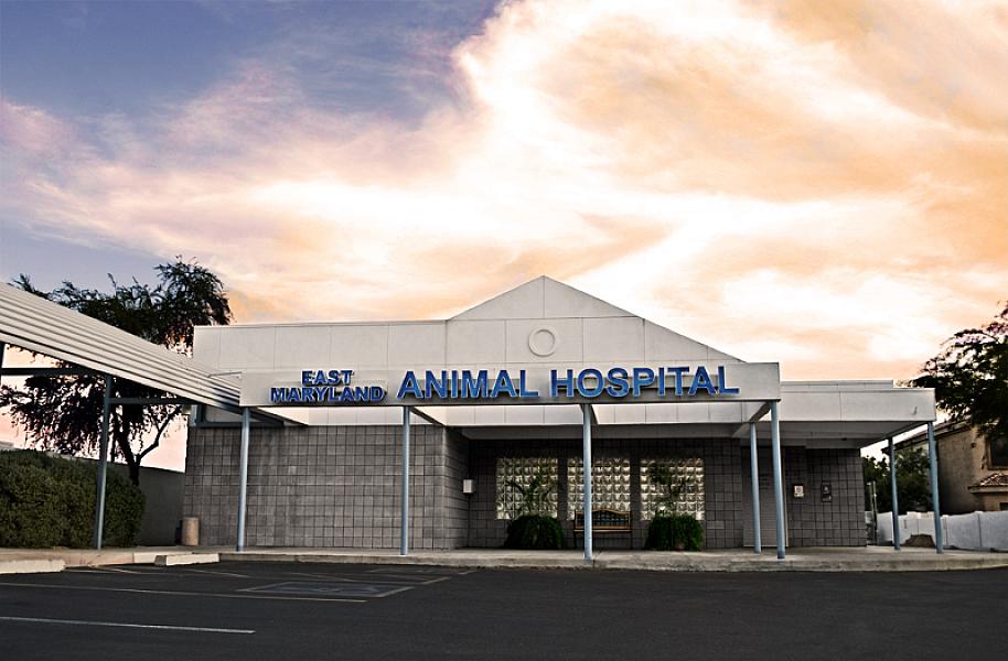 East Maryland Animal Hospital