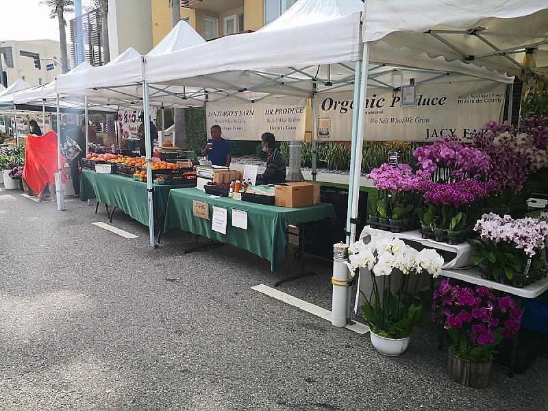 Playa Vista Farmers Market