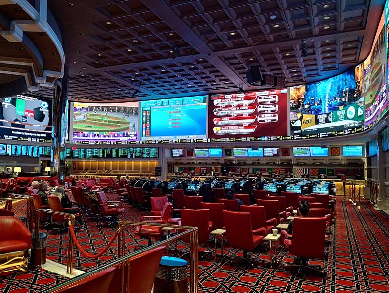 Race & Sports Book