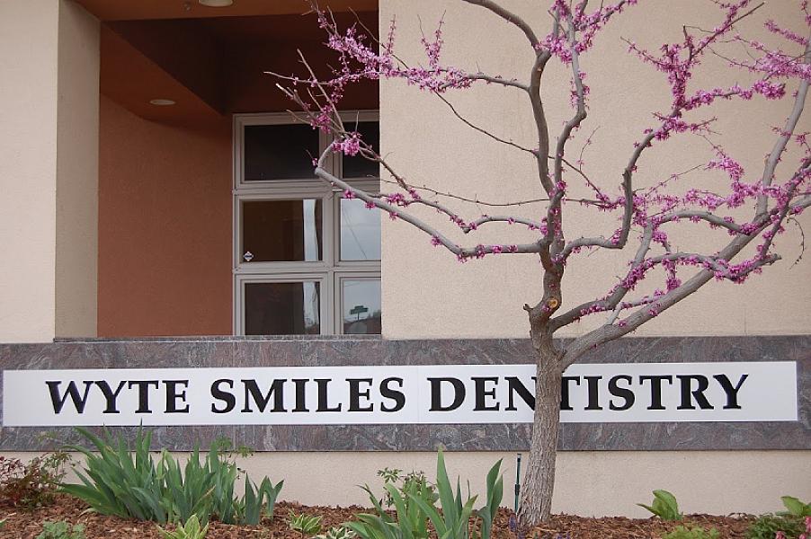 Wyte Smiles