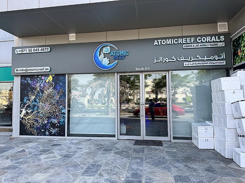BLUECORAL AQUARIUM SHOP
