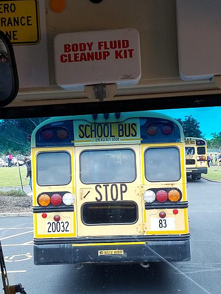 St Pius Tenth Elementary School