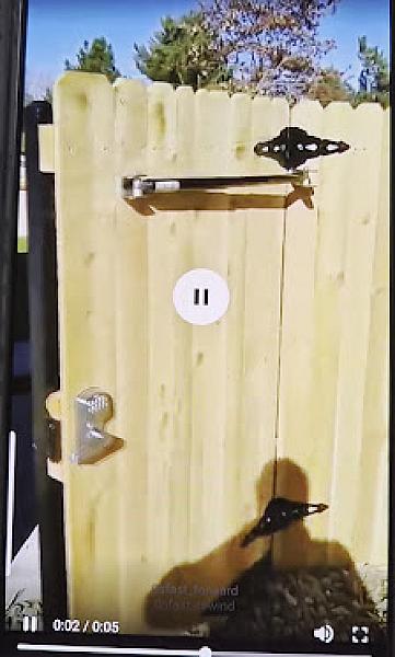 AA Custom Fence